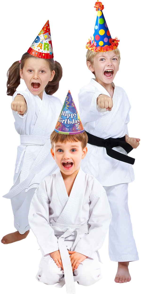 martial arts birthday kids